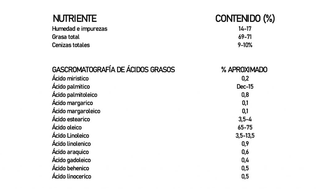 GASOLIVA 2-01